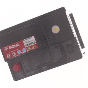 WET BATTERY, 7306047